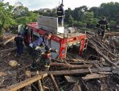 Крокодила и кабана нашли живыми под слоем грязи в зоопарке Тбилиси