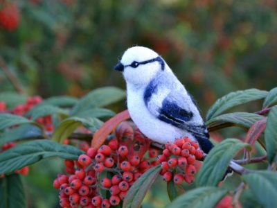 � �������� � ����� ���������� �������� ���� �� �������