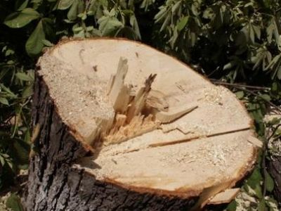 � ����� ������������ ���������� ���������� ������� �����