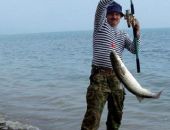  Пеленгас запретили ловить в Азовском море до конца года
