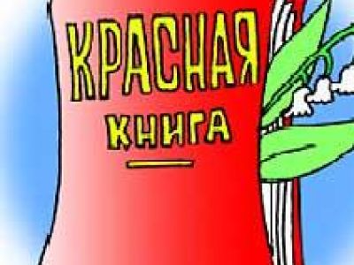 � ����� �������� "������� ����� ����"