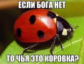 В Ставрополе начался суд над блогером за фразу «бога нет»