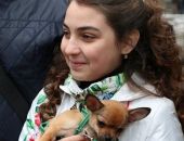 Девочке из Севастополя подарили собаку по поручению Владимира Путина