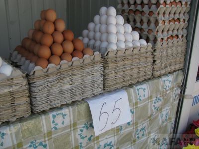 ���� �� ����� ��������: ������������