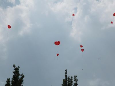 ���� ������: � �������� ������ ����� ������ (�����)