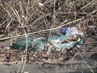 � �������� ����� ���������� � �������� ����� �������
