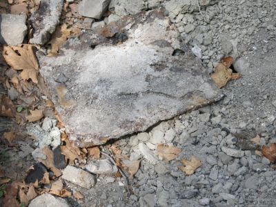 � ������� �� ���������� ����� � �������� ����� ��������� ����