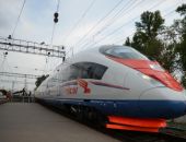 Под Петербургом «Сапсан» насмерть сбил пенсионерку