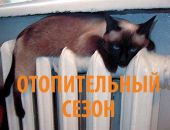 В столице Крыма начат отопительный сезон