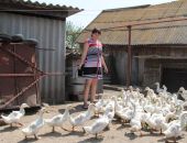 В округе зарегистрировано восемь фермерских хозяйств 
