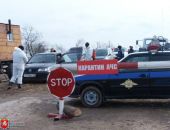 В массовом падеже скота в Восточном Крыму ветеринары винят  африканскую чуму 