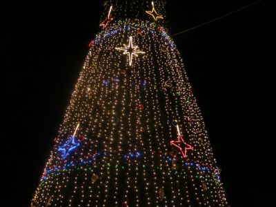 � �������� ��������� ����� 15-�������� ���������� ���� 