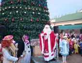 Сегодня в Феодосии открыли главную городскую елку (видео)