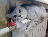 В новогоднюю ночь случилась поломка в котельной поселка Приморского