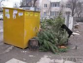 Куда деть елку после Нового года