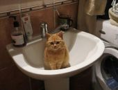 � �������� ������� ������ ��������� ����