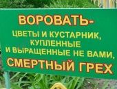 � �������� ������ ���������� �������