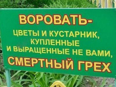 � �������� ������ ���������� �������