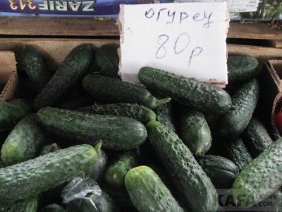 ���� �� ����� ��������