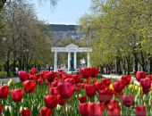 На озеленение Феодосии выделено 5,5 млн. рублей