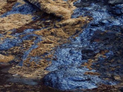 � �������� ���������� ����� ���������������