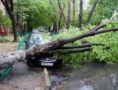 Ураган в Москве: 11 погибших, более 160 раненых