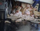 Крымчане растащили 10 т замороженных кур из попавшей под Керчью в ДТП «фуры»