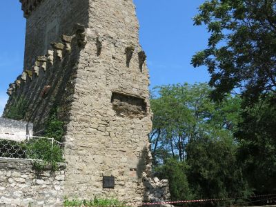 ������� ���� ��������: ����� ���������, ����� ����������� �� ������������