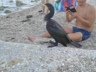 � �������� �� ����������� ������ �������� ��� ���������� ����� �����