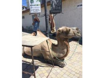 � ��������� ��������� �������� ����������� �� 500 ������