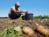 Треть россиян вернулась к стратегии выживания 1990-х