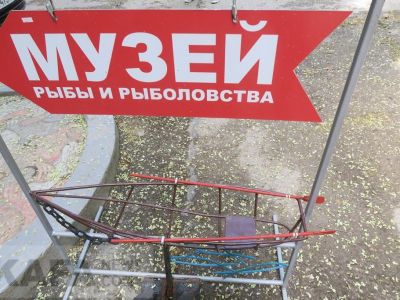 ����� ���� � ����������� � �������� ���������� �������� ����� �����������