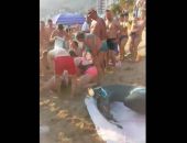 � ������������ ����� ������� ��������� ������� � ���������� �� ����, ���������� ������� (����)