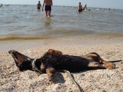 � ����� ����� ��������� ���������� ����� �� ������