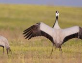 �������-�������� � ���� �� ����� �������� ����