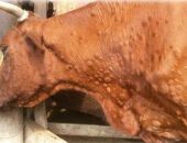 �������� ��������� �������� �������� �������� �����