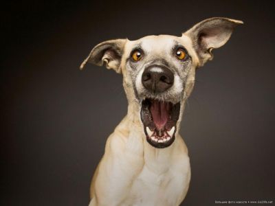 � ������������ �������� �������� ��������� ������ ����� � ���� �� �����