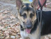 � �������� ������� ������ �������� ����� ���� �����