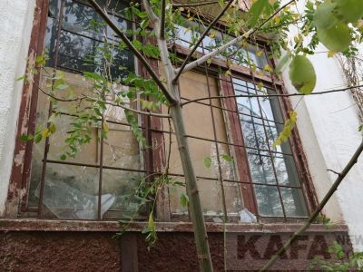 � ������������ ����� � 12 ������� ��������, � �������� �������� �� �������� (�����)