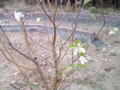 � ������� ����� ������ ����� ������� ������� � �������� ����� (����)