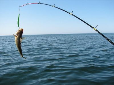 � ������ ��������� ������� �� �����
