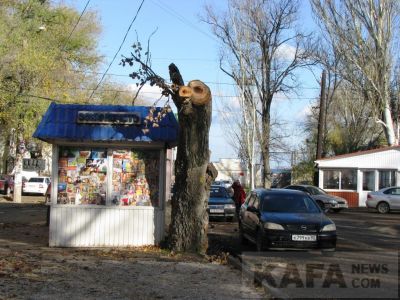 � �������� �� ��������� ����� ������� (�����)