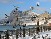К новогодним праздникам цена аренды квартир и домов в Крыму увеличится вдвое