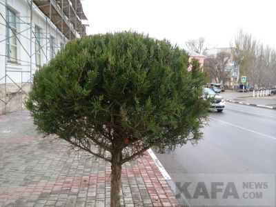 ����� �������� ������� �������� �������