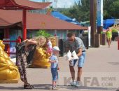 В Севастополе полиция начнет штрафовать за фото с голубями