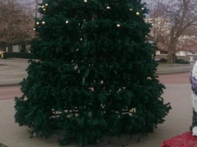 � ���������� ���� � ������ ����������� ������ �������� ������� (����)