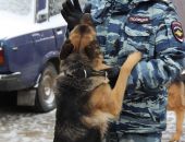 Выступления служебных полицейских собак покорили сердца участников акции «Студенческий десант»