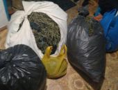 ФСБ перекрыла крупный канал поставки марихуаны из Крыма в Москву