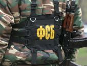Сотрудники ФСБ провели обыск в офисе «Севавтодора»