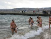 Пройдет заплыв моржей